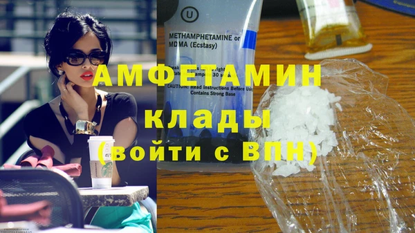 индика Волосово