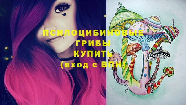 mdpv Вяземский