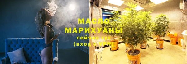mdpv Вяземский