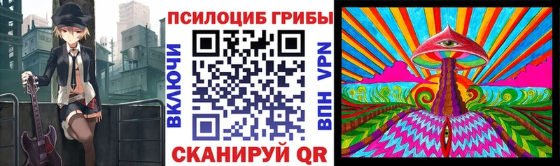 Галлюциногенные грибы Psilocybine cubensis Красновишерск